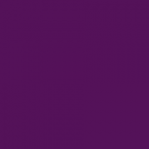 klasika_tumi_violets