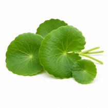 centella