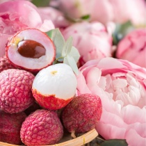 lady_peony3