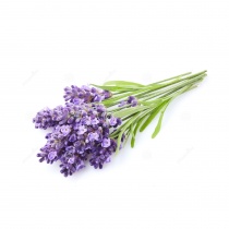 lavanda_217505173