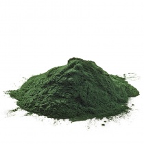 spirulina-algae-powder