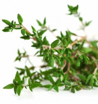 thyme_red