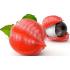 guarana-seeds