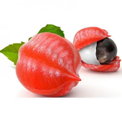 guarana-seeds