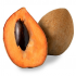 sapote
