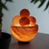 sals_lampa