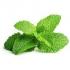 peppermint