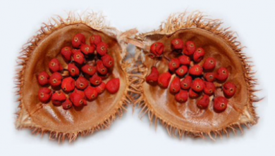 annatto