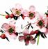 manuka_316533430