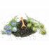 blackcuminseedorganicuk450x450
